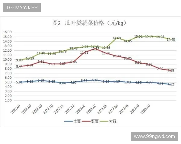 2025年白菜价格最新行情分析与趋势预测 2025年白菜价格最新行情分析与趋势预测